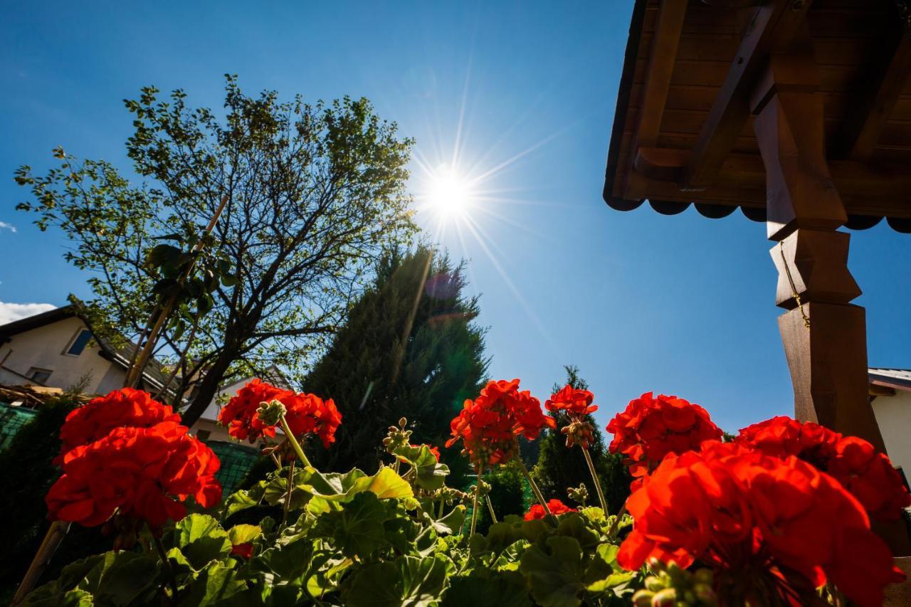 Vila Mery Moisei Buitenkant foto